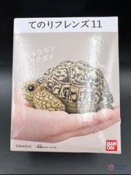 [明盒][放置朋友][11][03-陸龜] #Bandai #Tenori #Friends #掌上