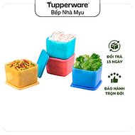 Bộ Hộp Tupperware Bảo Quản Thực Phẩm Ngăn Mát Medium Square Round 1L (04 Hộp)