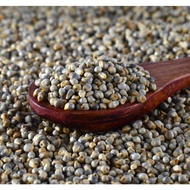 Pachai Kambu / Naattu Kambu / Pachai Kambu / Pearl Millet