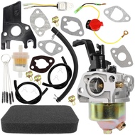 Carburetor Compatible with A-iPower  56415 65414 66015 67560 67561 68527 68528 69675 69676 69728 697