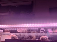 千尋Chihiros WRGB2 Pro 90 LED Aquarium Light水草燈