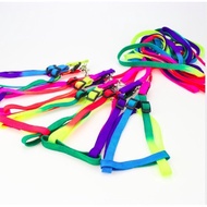 7-color leash, chest harness for dogs and cats under 7kg