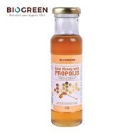 Biogreen Raw Honey with Propolis 220g [Brazilian Green Propolis/ Antibacterial/ Antioxidant]