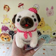 豆柴三兄弟小八哥