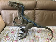 侏羅紀世界 速龍 小藍Jurassic World Velociraptor Blue Super Colossal Jurassic T-rax