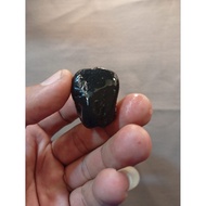 Galih stone f0sil tamarind wood 138