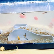 WISDOM Aquarium Decoration Tunnel Caves, Under Gravel Tunnel Curve Aquarium Underground Tunnel Cave,