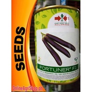 ✘☾♤FORTUNER F1 (50G) HYBRID LONG VIOLET EGGPLANT BY EAST WEST SEEDS APPROXIMATELY 10,000- 14,000 SEE