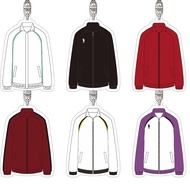 Anime keychain Haikyuu model Karasuno Nekoma Aoba Johsai Shiratorizawa Transparent Acrylic hanging b