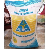 [SOUTH VET] ATLAS UREA 46-0-0 FERTILIZER FOR PLANTS / ABONO o PATABA SA HALAMAN /250g/500g/