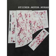 STRIPE RSX DRAGON STICKER WINNER X NAGA