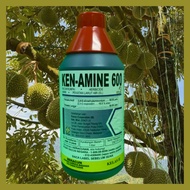 [ORIGINAL] 1L KEN-AMINE 600 Racun Rumput/RACUN RUMPAI/Racun Serap/KENAMINE /HC AMINE 600 Sama Hextar
