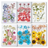 Pressed Flowers DIY Dried Flowers Handmade art Floral home decoration Epoxy crafts Resin handicraft materials