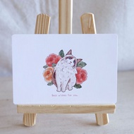 布偶貓貓明信片卡片 萬用卡 賀卡 文創 布偶貓 貓咪 可愛