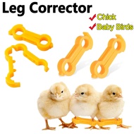 Chick Leg Stabilizer Baby Birds Splay Legs Correction Band Newborn Chicken Leg Hobble Brace Support