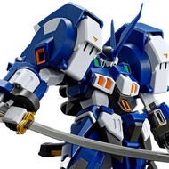 HG Alt Eisen Nacht Premium Bandai Limited Edition