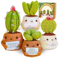 Hook Line Material Pack Wool Plant Cross-Border Ready Stock Material Pack Cactus Potted DIY Handmade