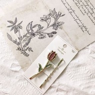 日本日系飾物 Osewaya 乾燥玫瑰色鬱金香一SET 髮夾_聖誕節派對交換禮物