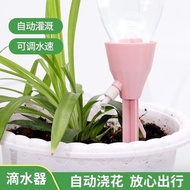 家用花盆滴水器浇花绿植定时浇花器滴灌出差渗水器自动浇 3个装