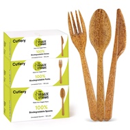100% Biodegradable Cutlery Made of Vegetable Fibers, 300 PCS of 6.7” Long Heavy-Duty and Splinter Fr