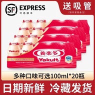 100 Milk Original Flavor Yogurt Low Sugar Lactic Acid Bacteria Drink 20 Yakult Drink Live Bacteria G