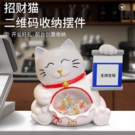 Lucky Cat New Store Decorations Xinglong Decoration Shop Cash Register Business Opening QR Code Fron