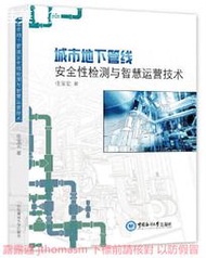 城市地下管線安全性檢測與智慧運營技術 任寶宏 2021-4-20 中國海洋大學出版社