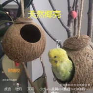 Natural Coconut Shell Bird Nest Bird Cage Breeding Box Peony Budgie Pet Supplies Coconut Shell Creat
