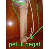 SALE TERBATAS!!! bambu petuk asli PACKING AMAN