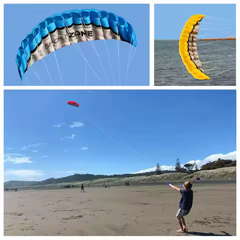 250cm Dual Line Stunt power Kite soft kite Parafoil kitesurf fly outdoor fun sports professional kit