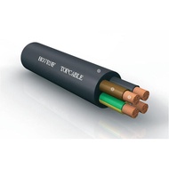 Cable H07RNF 2x1.5 H07RNF 2x1.5 Sqmm Ex-Erope Top Cable Titanex IRCE