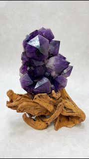 剛果巨型大牙紫水晶