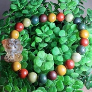 🎊 [DIYB113] 4 Season Phantom Lucky Cat with Alasan Beads Bracelet