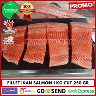 SALMON FILLET SEGAR 1 KG / IKAN SALMON SEGAR PREMIUM