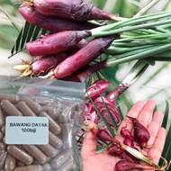 DAYAK PEK CHARMING ONION CAPSULES