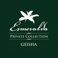 Cooked Coffee Beans Panama Jade Manor Green Label Private Collection Selection Geisha Washed