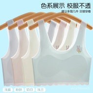 [9.6,000 People Collection] Girls Underwear Developmental Small Vest Elementary School Students Seam