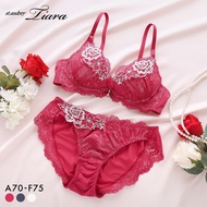 Beautiful Craftsman Underwear Set Embroidered Flower Piece 70CD 65F 75BC 85F Japan Push-Up Bra with 
