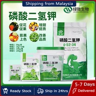 LELE GARDENING MKP HIGH PK 0-52-34 Fruit Fertilizer 500g 保花保果肥料 Baja Buah Baja Sayur