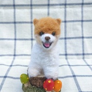 羊毛氈 寵物 復刻 仿真 狗狗 - 松鼠狗 博美犬 波型 波波 植毛款