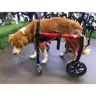 วีลแชร์สุนัข พิการขาหลัง  ขนาดไซส์ M. สัตว์เลี้ยง รถเข็น wheelchair dog**ติดต่อร้านค้าก่อนสั่งซื้อ**