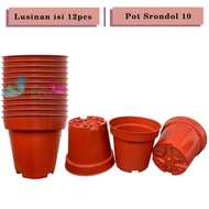 lusinan pot bunga murah /pot tanaman /pot plastik uk 20 cm coklat