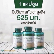 EXP.06/2025 เห็ดถั่งเช่า คอร์ดีแม็กซ์ ซีเอส - 4 นูสกิน Cordymax CS4 Nuskin