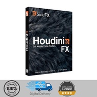 Houdini FX 3d animation/ SideFX v20.5 latest version (win & mac)