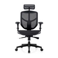 Ergohuman Enjoy Deluxe 2 Smart Design Ergonomic Chair / Office Chair / Gaming Chair