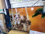 Hisense海信43A6N 43吋4K智能電視
(短期展示陳列機，屏幕面有輕微少花)最後一部