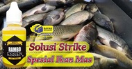 Essen Ikan Mas | Rambo Essen