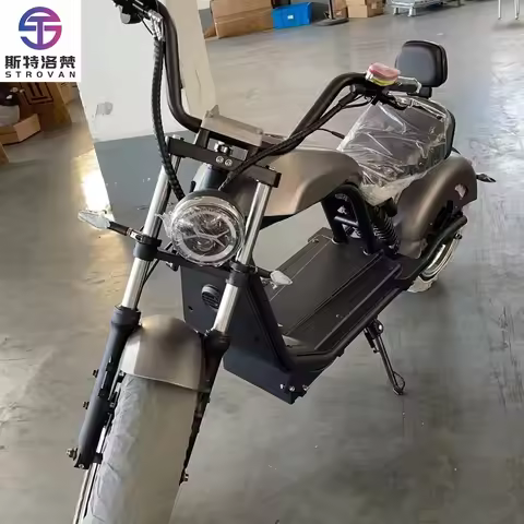 HL-6.0 EEC/COC 3000W-4000W 45AH-55AH Citycoco, Adult Chopper 2-Wheel Big Battery Max Motor