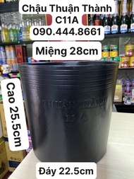 Combo 100 Cái Chậu Nhựa Mềm Thuận Thành Trồng Cây -Mẫu C11A