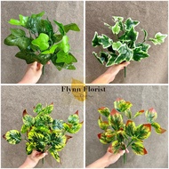 Premium Garden Leaves 7 Branches (Single) Artificial Flower Decoration Grass Leaves
